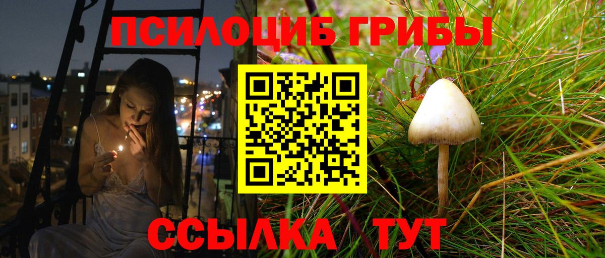 Чапаевск  Псилоцибиновые грибы Psilocybe  Вход с VPN  Галлюциногенные грибы MAGIC MUSHROOMS 
