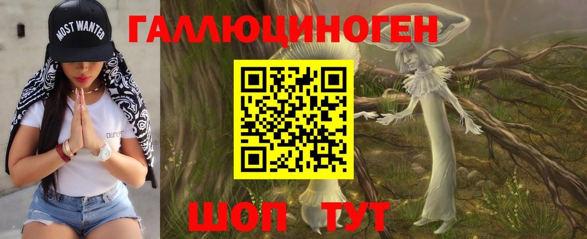 Галлюциногенные грибы GOLDEN TEACHER Чапаевск